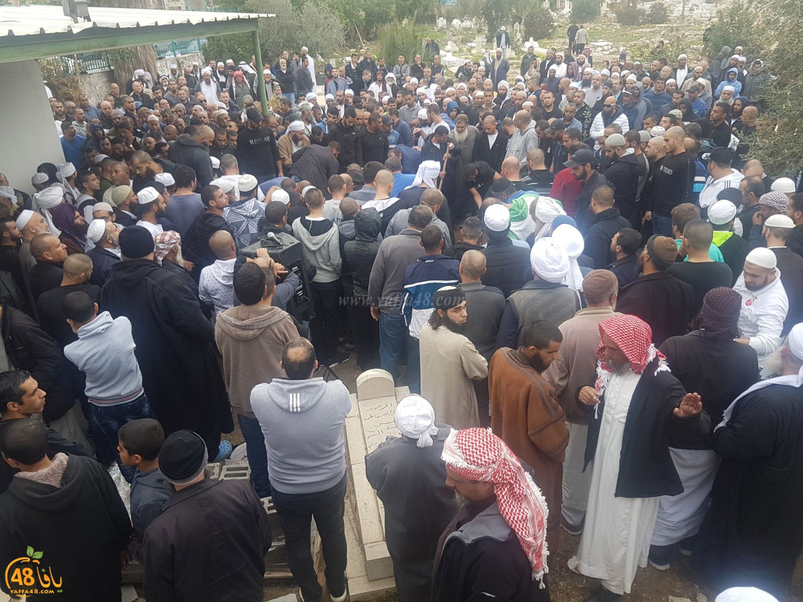 tasheeye3 om mhmoud (8).jpg